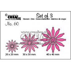 CLSET60 Duo Dies Flowers 60