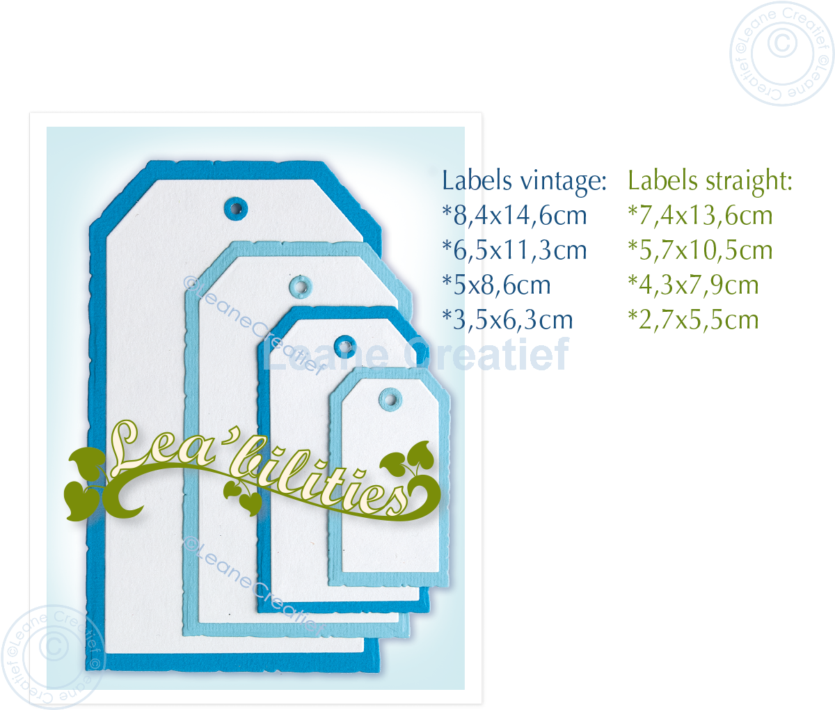 45.8139 Metal Die Leane Creatief - Labels vintage & straight cutting die