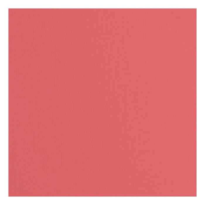 2928-027 Papier jednokolorowy dwustronny FLORENCE 30,5x30,5 cm -RHUBARB