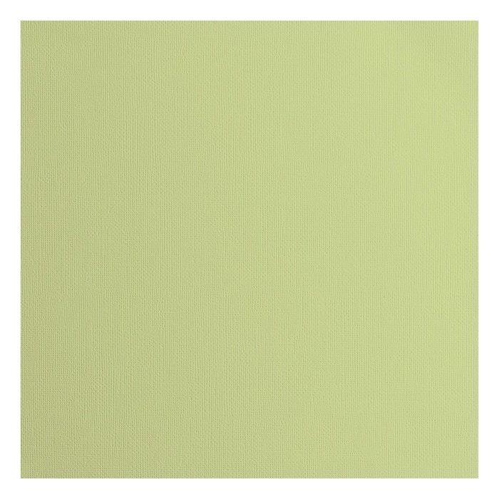 2928-066 Papier jednokolorowy dwustronny FLORENCE 30,5x30,5 cm -ANISE