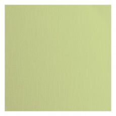 2928-066 Papier jednokolorowy dwustronny FLORENCE 30,5x30,5 cm -ANISE