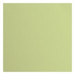 2928-066 Papier jednokolorowy dwustronny FLORENCE 30,5x30,5 cm -ANISE