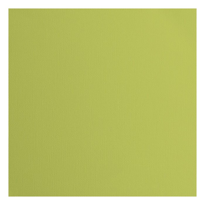 2928-070 Papier jednokolorowy dwustronny FLORENCE 30,5x30,5 cm -PISTACHIO