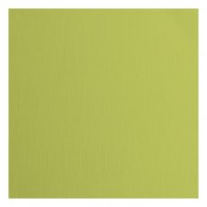 2928-070 Papier jednokolorowy dwustronny FLORENCE 30,5x30,5 cm -PISTACHIO