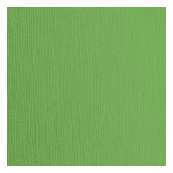 2928-075 Papier jednokolorowy dwustronny FLORENCE 30,5x30,5 cm -MOSS