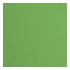2928-075 Papier jednokolorowy dwustronny FLORENCE 30,5x30,5 cm -MOSS