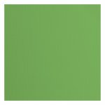 2928-075 Papier jednokolorowy dwustronny FLORENCE 30,5x30,5 cm -MOSS