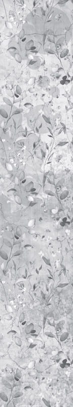 PH_NTx04 Like a breath 04