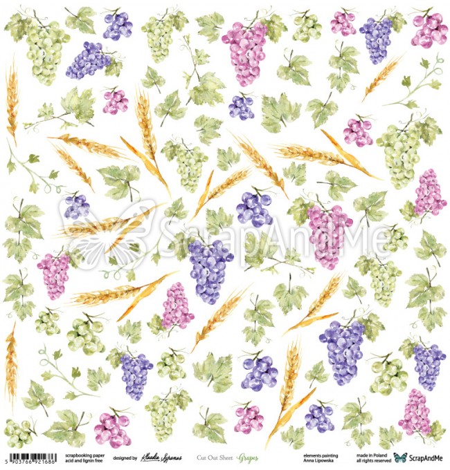 CB2-17 Grapes- ScrapAndMe