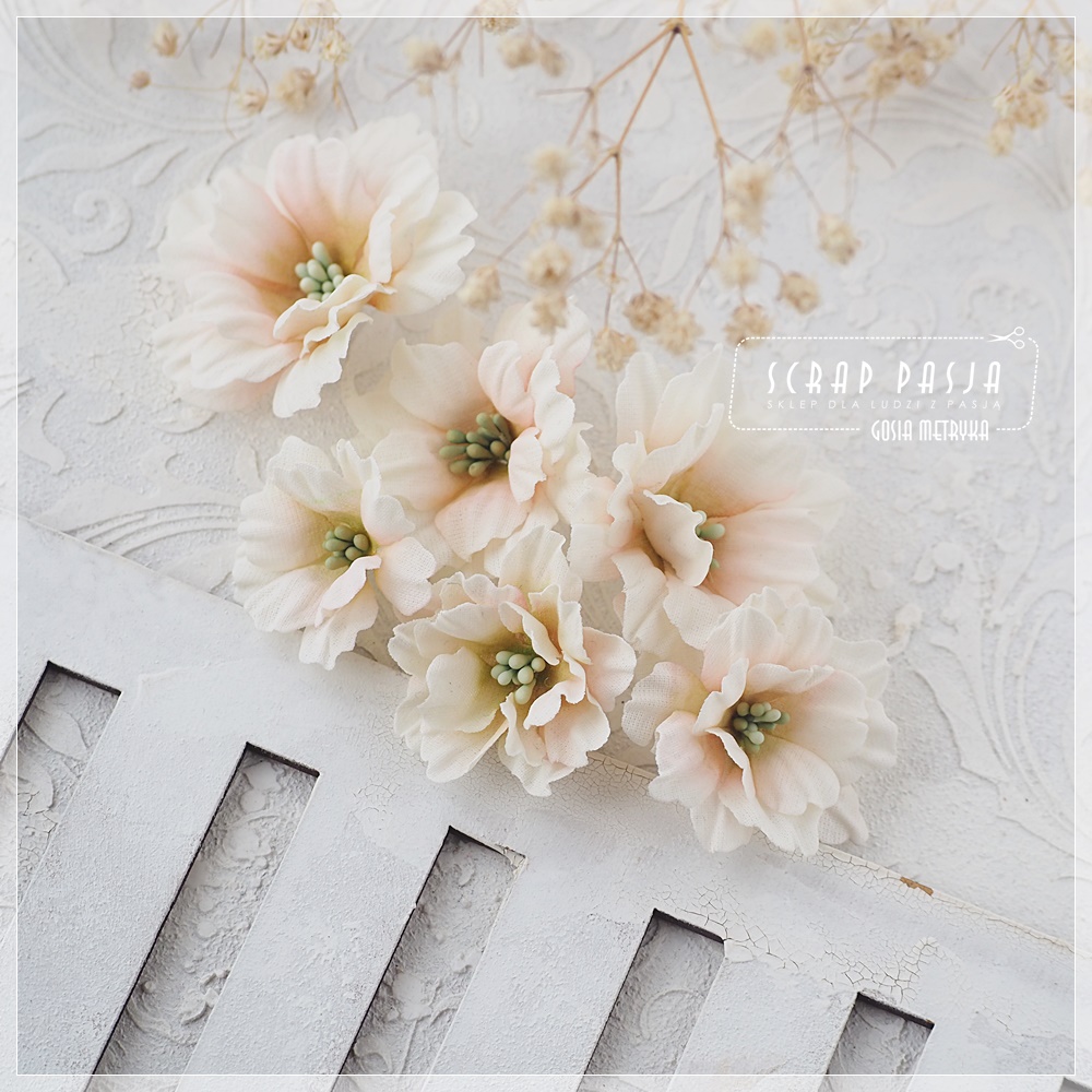 CW225 Cutting Die - Craft&You Design - Apple blossom
