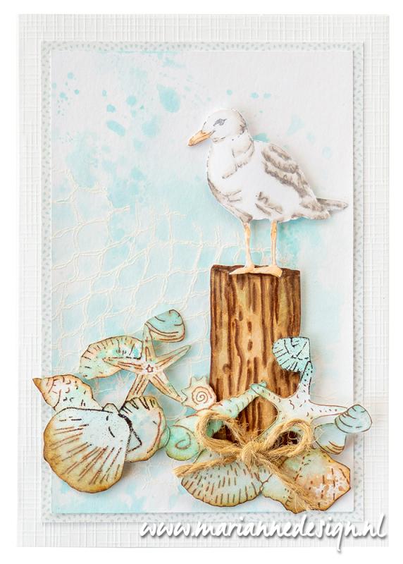 TC0910 TINY'S ART - SEASHELLS