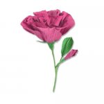 666246 Sizzix • Thinlits Die Set Lisianthus by Alexis Trimble