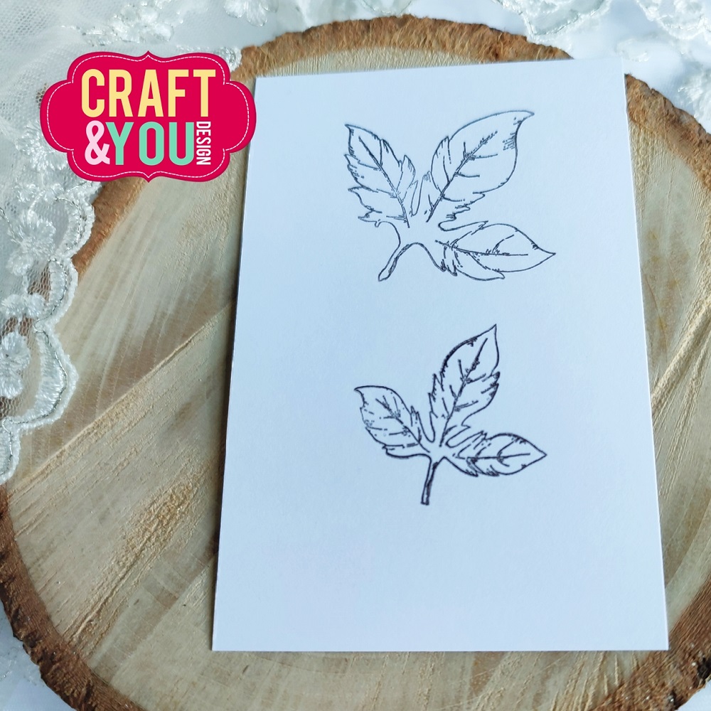 CS028 Clear Stamp - Leaves Set /left