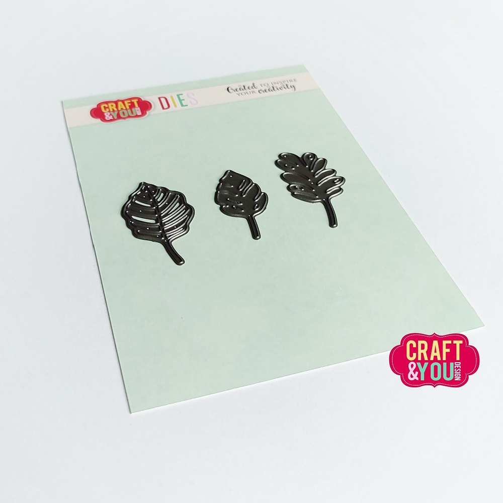 CW240 Leaves set WM1 Cutting Die - Craft&You Design