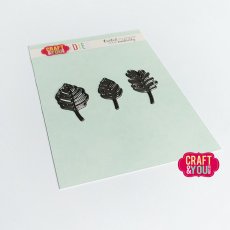 CW240 Leaves set WM1   Cutting Die - Craft&You Design