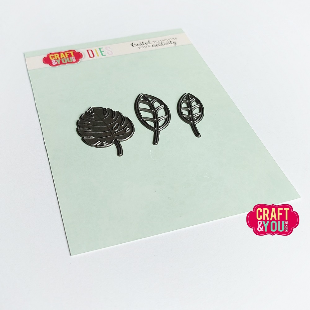 CW241 Leaves set WM2 Cutting Die - Craft&You Design