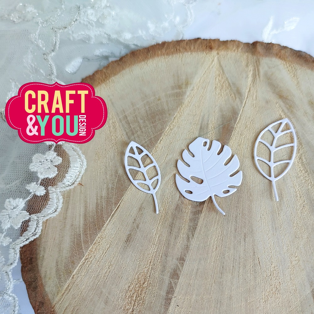 CW241 Leaves set WM2 Cutting Die - Craft&You Design