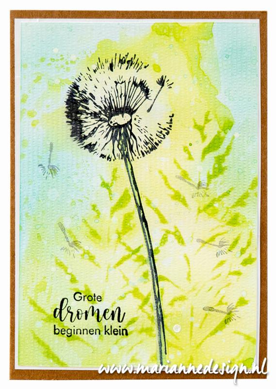 TC0898 Tiny's Border - Blowball