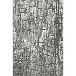 666295 Sizzix • 3D Texture Fades Embossing Folder Cracked