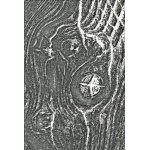 666297 Sizzix • 3-D Texture Fades Embossing FolderWoodgrain