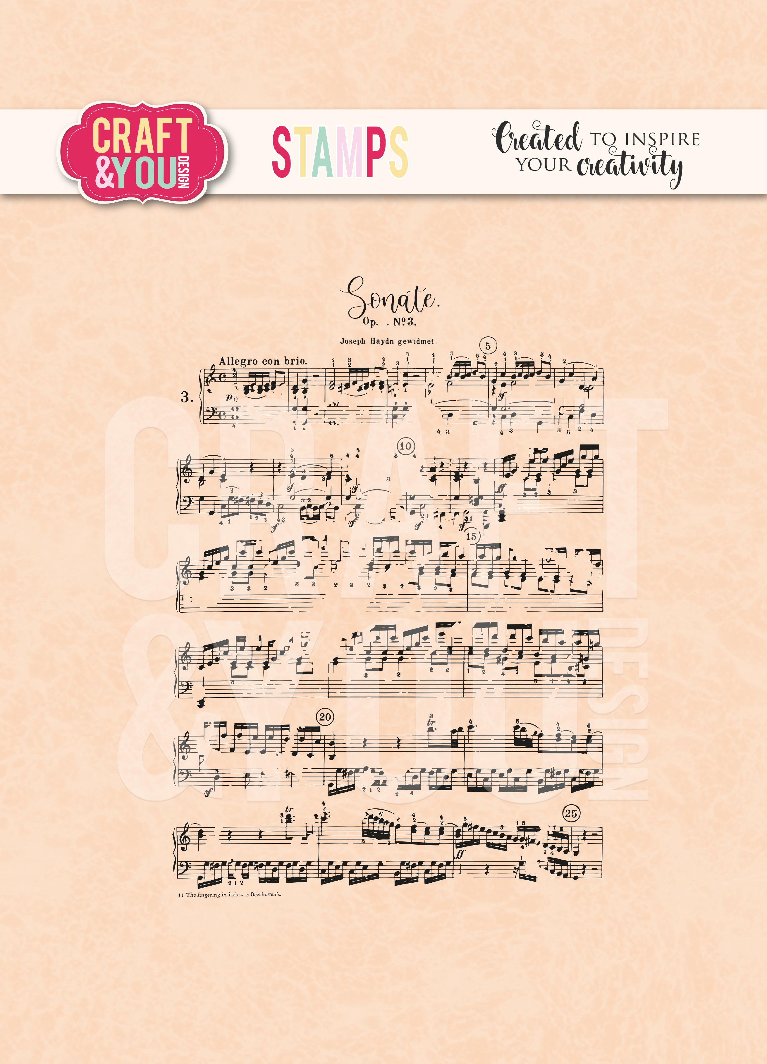 CS032 Clear Stamp - Music notes