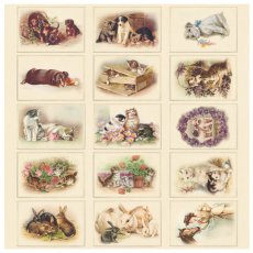 PD164 Papier 30,5 x 30,5 Animals - Images from the Past