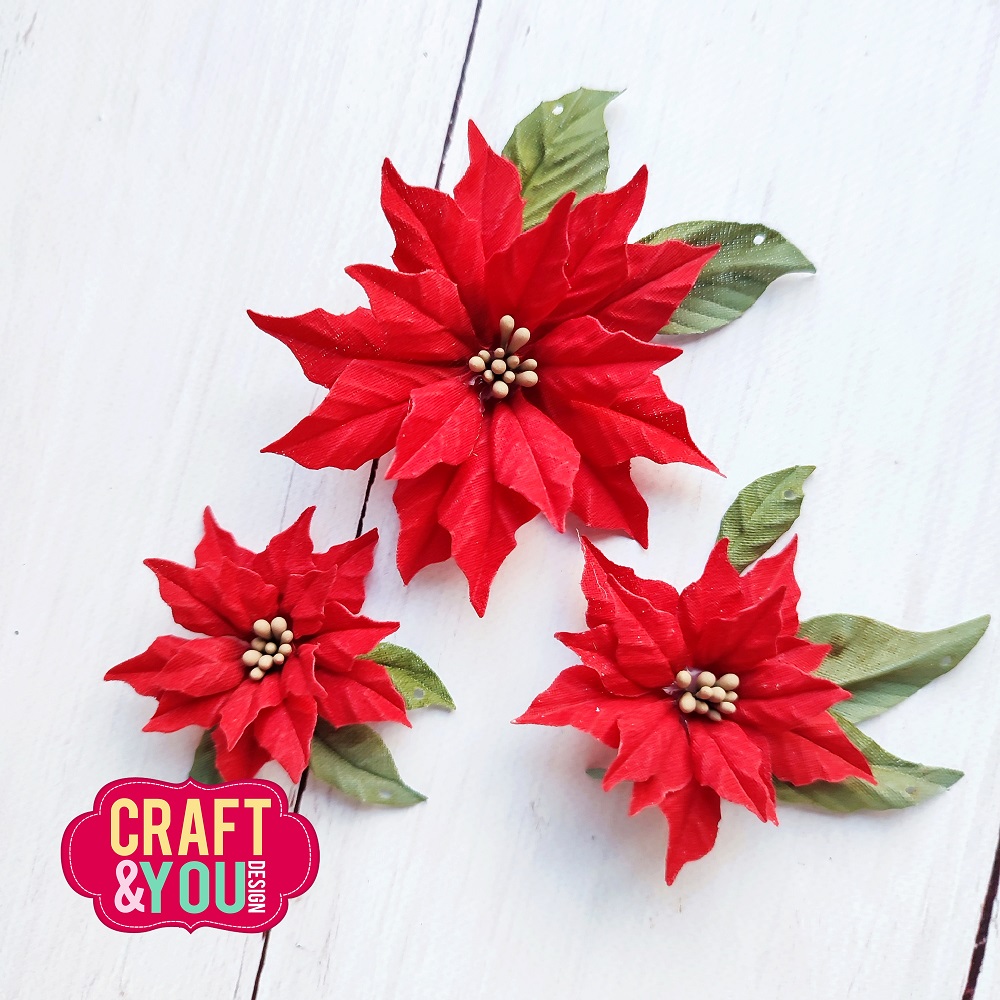 CW261 Cutting Die - Magda's Poinsettia - Craft&You Design