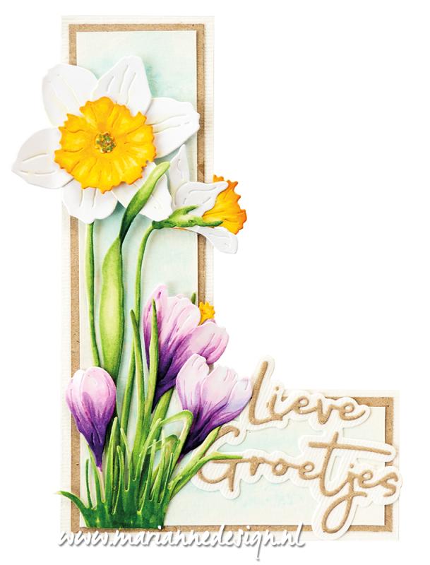 LR0846 Metal Die Marianne Design - Creatables - TINY'S CROCUS XL