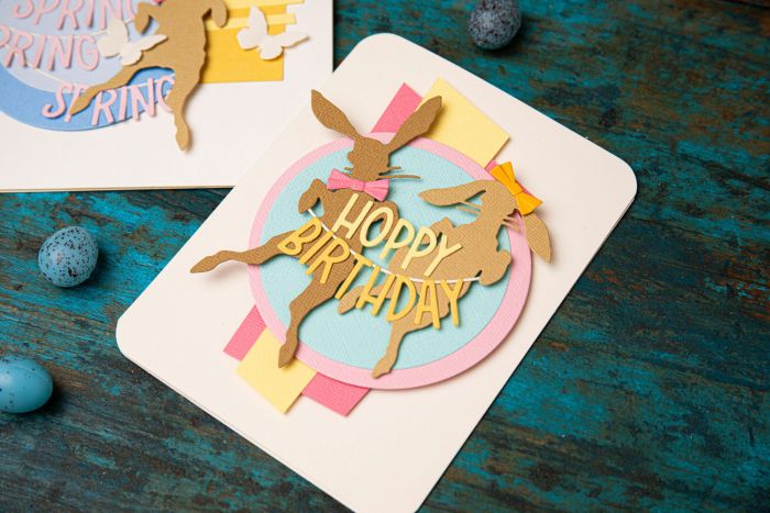 666562 Sizzix • Thinlits Die Set Vault Hippity Hop