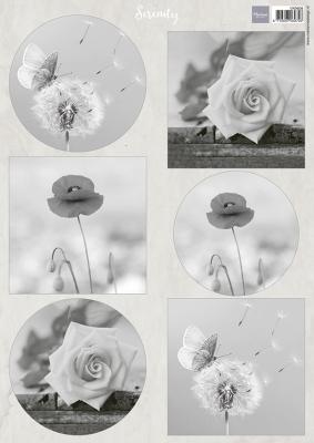 VK9608 A4 one side paper - Marianne Design - Serenity Flowers