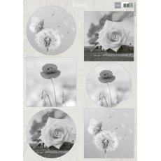 VK9608  A4 one side paper - Marianne Design - Serenity Flowers