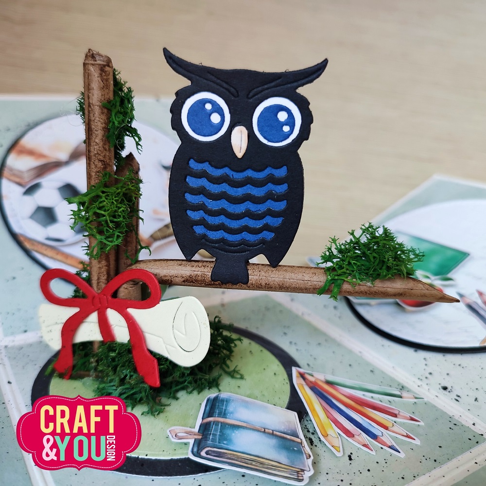 CW292 Cutting Die - Set with owl - Craft&You Design