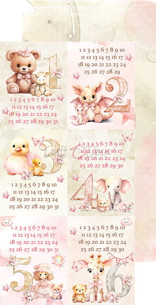 CC-C65-GC-13 GIRL & CURL- ZESTAW DODATKÓW - MIX