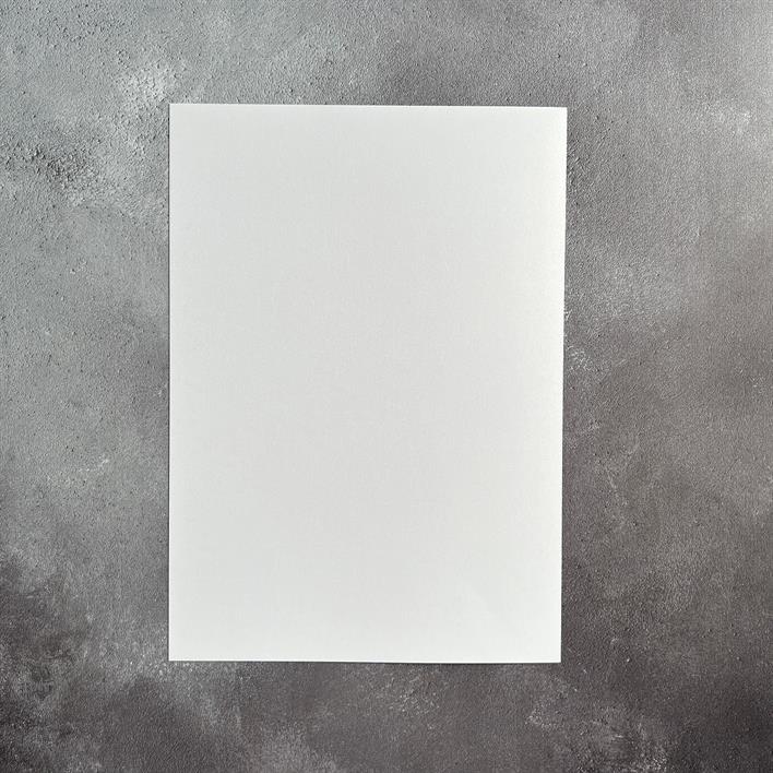 PFSS316 Paper Favourites Pearl Paper Logwood Purple