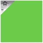 PFSS509 Paper Favourites Smooth Cardstock Fresh Green 30,5x30,5cm