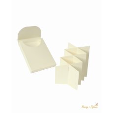 RZP-164 Card box  