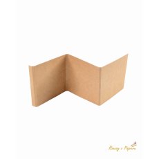 RZP-177 Harmonica for exploding box -kraft 9x27