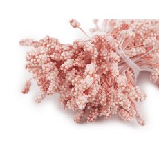 900822-3 Flower stamens - powdery glossy