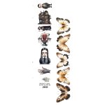 AA-TOT-HH-ext-04 Alchemy of Art - 2x12' Trick or treat - Happy Halloween