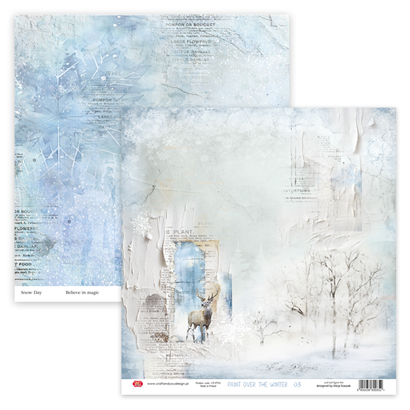 CP-PT03 Double-sided scrapbooking paper Craft & You Design 12x12" Paint Over The Winter 03