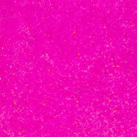 WH11R WOW! Embossing Powder Primaries - Fuchsia Fusion - Regular