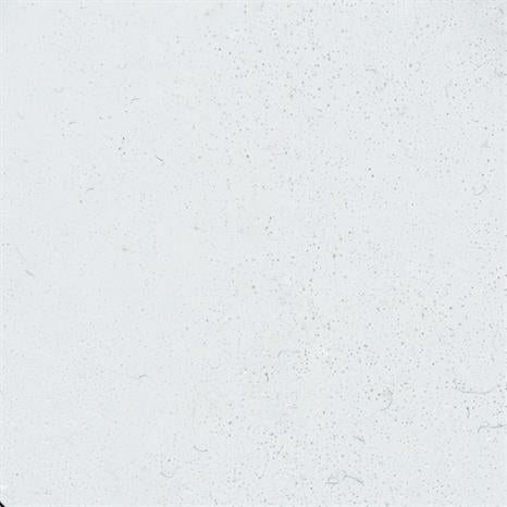 WL01R Embossing Powder Opaque Whites - Bright White - Regular