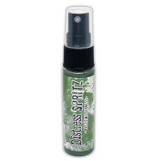TDU86420  Ranger • Distress Spritz Rustic Wilderness 
