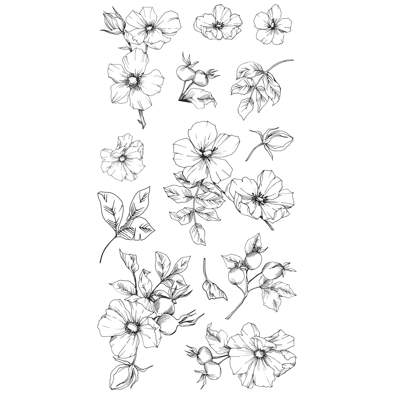 666870 Sizzix • Clear Stamps Set 13pcs Wildflower Botanicals