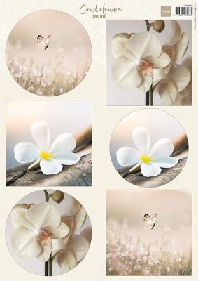 VK9624 one side paper A4 Marianne Design-Condolance - Orchid