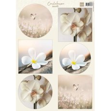 VK9624 one side paper A4 Marianne Design-Condolance - Orchid 