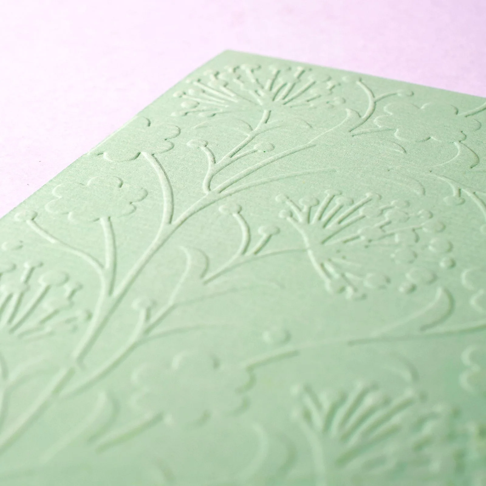 100605-017 Vaessen Creative • Embossing Folder 10,7x14,6cm-Dandelion