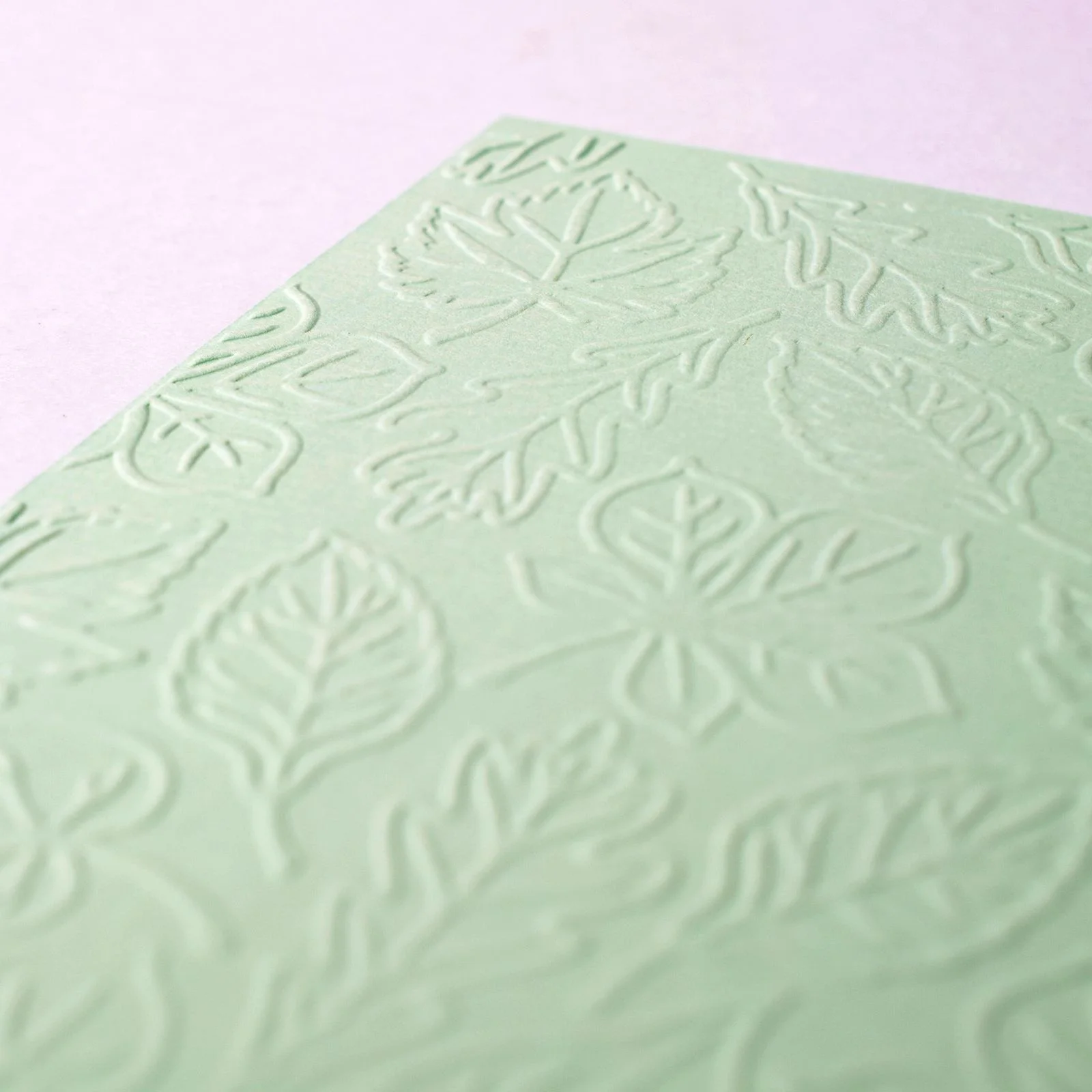 100605-029 Vaessen Creative • Embossing Folder 10,7x14,6cm-Leaves