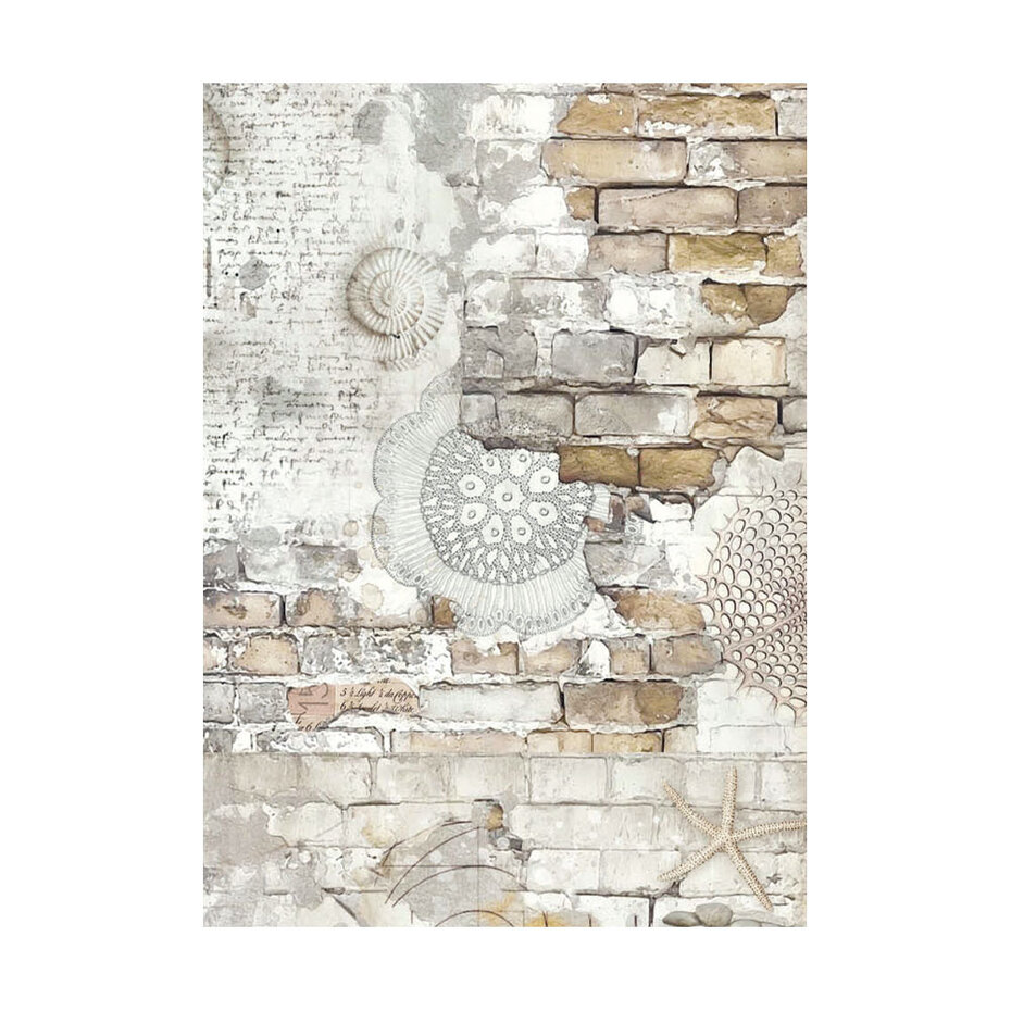 DFSAK6040 Stamperia Silent Sea A6 Rice Paper Backgrounds (8pcs)