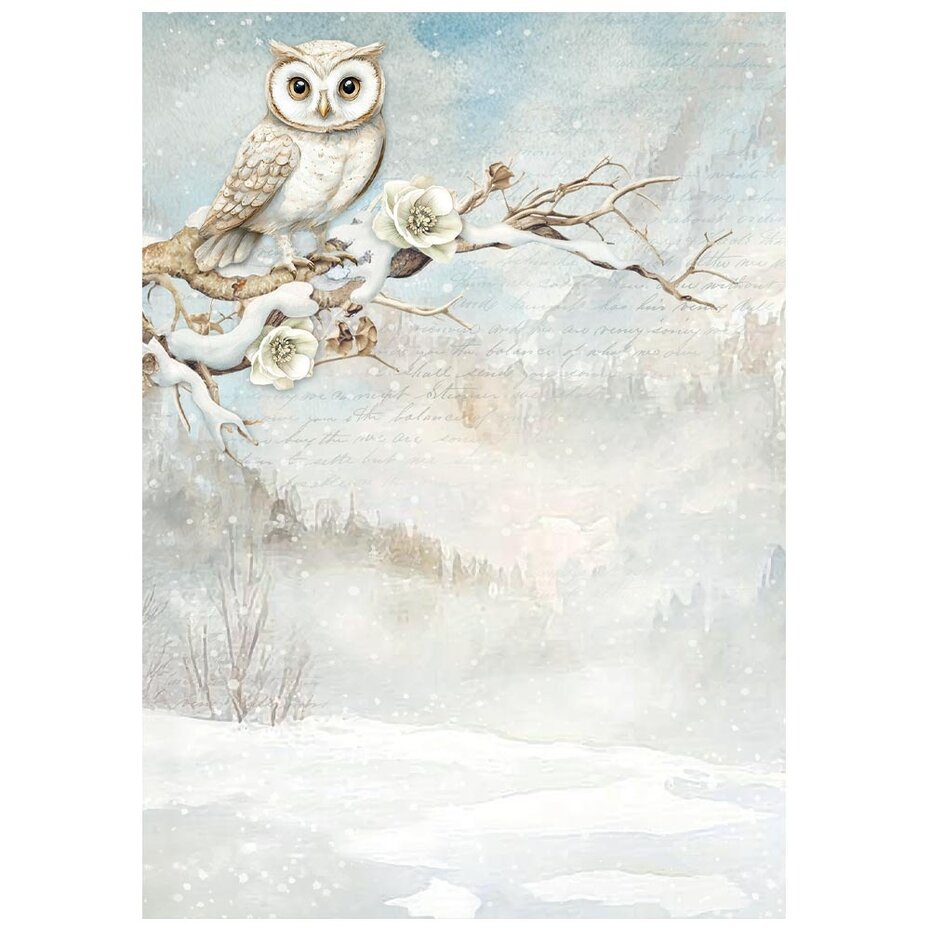 DFSAK6044 Stamperia The Owl's House A6 Rice Paper Backgrounds (8pcs)